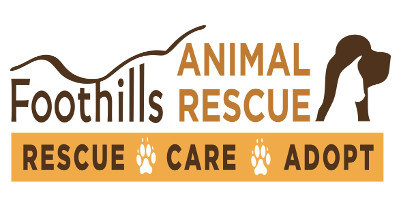 foothills animal logo
